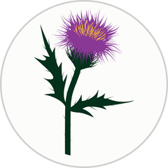 Scottish Thistle Flower Illustration on Badge