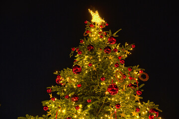 Beleuchterer Christbaum