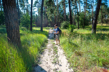 Obraz premium Two people walk a sunlit sandy path through a vibrant green pine forest on a beautiful summer day. Ideal for showcasing nature, outdoor recreation, and tranquil exploration.