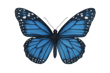 Fototapeta premium Blue butterfly with intricate wing patterns, representing metamorphosis, growth, and natural beauty. Transparent background for versatile use
