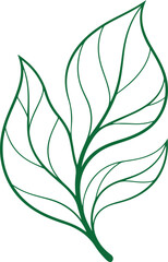 Minimal Botanical Leaf Line Art Vector | Modern Plant Illustration