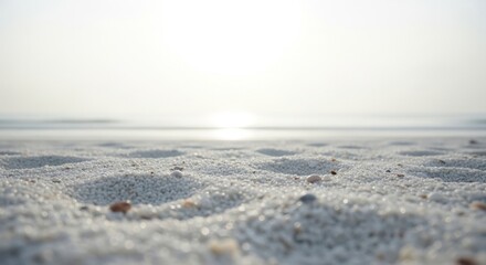 Crisp low-angle surface focus with hazy backdrop white