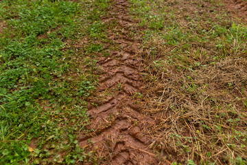 Deep imprint of a tractor tire in mud and grass. Signs of agricultural machinery in the fertile soil after rain. Concept of farming work.
