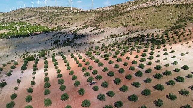 TRACTOR ARANDO CAMPO DE OLIVOS ENTRE MOLINOS EOLICOS