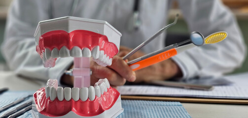 Dental professional demonstrating oral health techniques with model and tools during a patient consultation