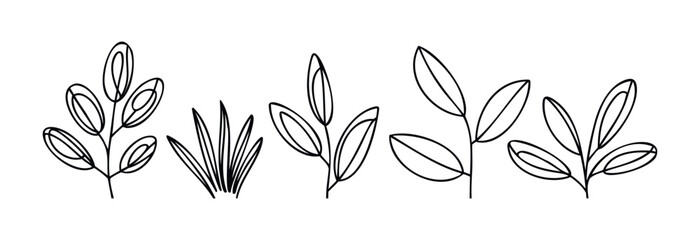 Collection of minimalist black outlines depicting various delicate plant branches and foliage for organic natural themes and springtime decorative applications.