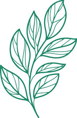 Leaf Branch Line Art Vector | Minimal Nature Illustration