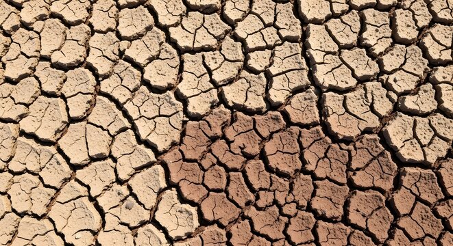 Close up of cracked dry earth texture
