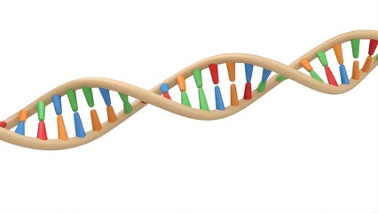 A 3d rendering of a colorful dna double helix structure, representing genetics and molecular biology, isolated on white background