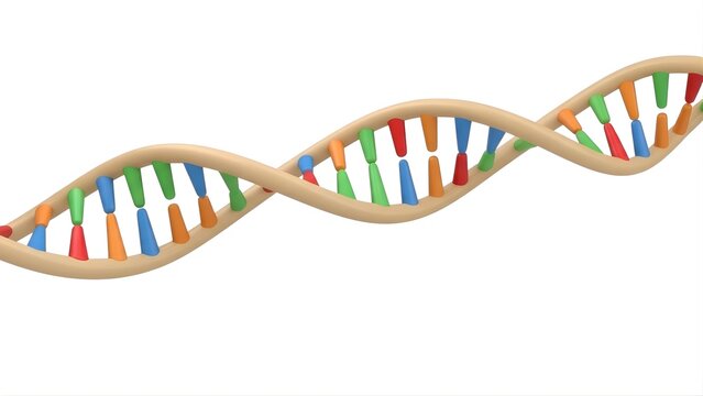 A 3d rendering of a colorful dna double helix structure, representing genetics and molecular biology, isolated on white background