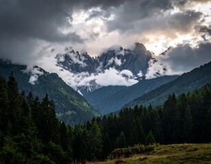 Obraz premium Mountain range shrouded in clouds, framed by evergreen forests