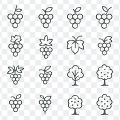 Obraz premium Outline vector icons for fruits, vineyards, trees, and organic farming concepts
