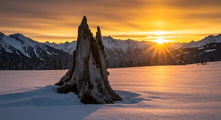 Majestic Winter Sunset Over Snow-Covered Mountains with a Lone Tree Stump