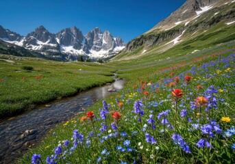 A serene alpine landscape featuring a clear, blue sky and snow-capped peaks. A small stream flows through a lush meadow filled with vibrant wildflowers in shades of blue, red, and yellow. 