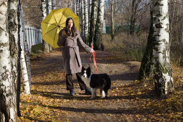 Young woman in a brown coat and headscarf holds a yellow umbrella and stands with a black and white dog on a leash on an autumn forest path with birch trees and fallen leaves.