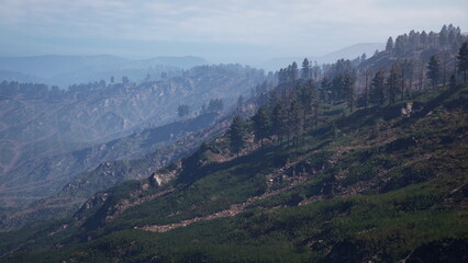 Naklejka premium Rolling hills covered with dense greenery stretch across the horizon under a soft morning light. Wispy clouds hover above the tranquil landscape, creating a serene atmosphere.