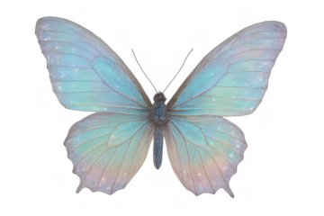 Magical fantasy butterfly with iridescent pastel wings flying, glowing light, isolated on transparent background