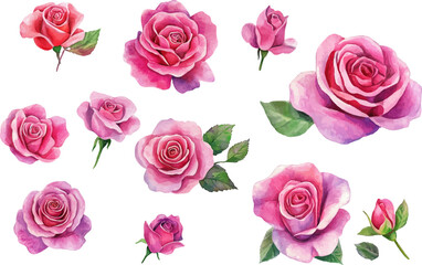 Fototapeta premium seamless pattern with pink roses