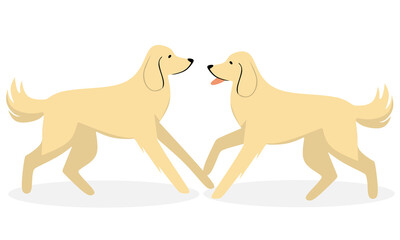 Two Golden Retriever Facing Each Other Pet Animal