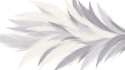 Obraz premium Soft feather background texture in white and grey for design and creative projects and art works