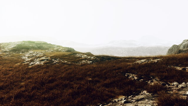 A misty landscape unfolds with rocky terrain and golden grass. The distant mountains peek through the fog, creating a peaceful atmosphere that invites reflection and calm.