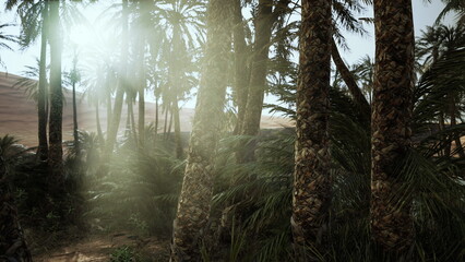 Sunlight filters through tall palm trees, illuminating a serene oasis. Lush greenery contrasts with the surrounding desert landscape, creating a peaceful retreat in the wilderness.