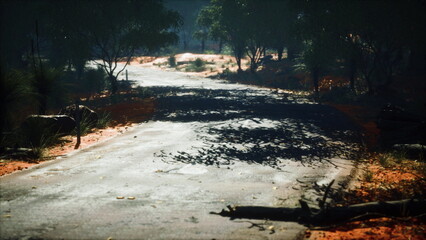 A winding dirt road meanders through a lush forest, illuminated by the sun. Vibrant greenery surrounds the path, while gentle shadows dance across the ground, creating a serene atmosphere.