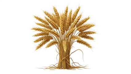 A detailed illustration of a bundle of wheat stalks with golden heads on a black background space