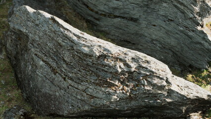 Large, rugged rocks are scattered across a serene forest floor. Sunlight filters through the trees, illuminating the moss covered surfaces. A calm atmosphere invites exploration and reflection.