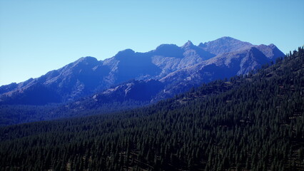 Fototapeta premium Distant mountains rise majestically against a sunny sky, their rugged peaks contrasting with the dense forest below. Nature thrives in this serene and untouched wilderness.