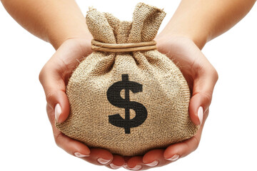 hand holding a money bag 