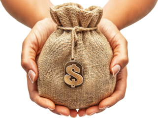 hand holding a money bag 