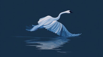 Fototapeta premium Photo White Swan Taking Flight from Water with Reflection on Dark Blue Background flying