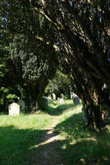 English Churchyard Extension Path Lined with Gravestones and Ancient Yew Trees in Bright Sunlight,...