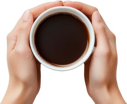  a coffee cup in hands