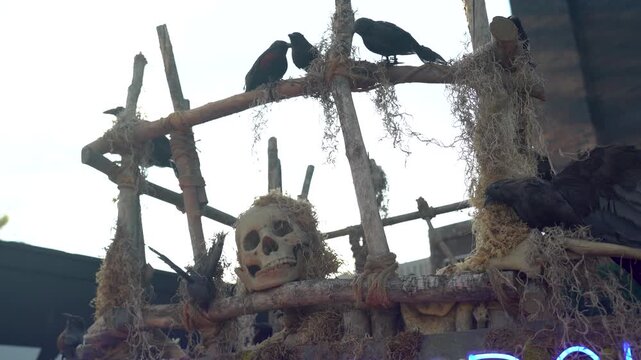 Halloween skull and crows spooky decoration outdoors