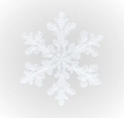 Ice winter snowflake frost frozen cold frame border white transparent decoration pattern.
