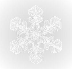 Snowflake frozen ice frost winter cold frame border white transparent decoration pattern.
