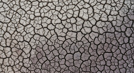 Abstract pattern of cracked dry earth surface texture