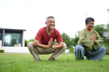 Senior couple practicing outdoor yoga together, Happy elderly couple doing stretching exercises on the grass, Active older adults enjoying a morning workout in the park