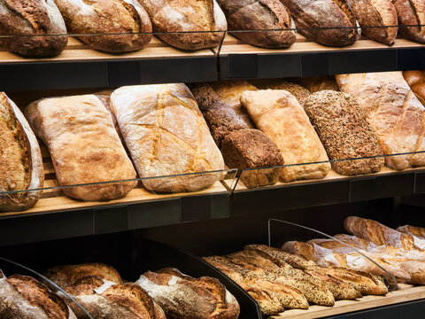Freshly baked bread displayed in a cozy bakery showcasing artisanal loaves and rustic varieties