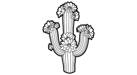 Digital representation of a 