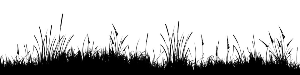 Fototapeta premium Meadow silhouette with grass, plants on plain. Panoramic summer lawn landscape with herbs, various weeds. Herbal border, frame element. Black horizontal banners. Vector illustration