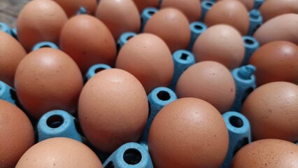 Close-up of fresh brown eggs arranged neatly in a blue tray, ideal for food blogs, grocery promotions, product packaging, and culinary advertising. The clean and natural texture makes this image perfe