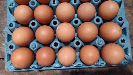 Close-up of fresh brown eggs arranged neatly in a blue tray, ideal for food blogs, grocery promotions, product packaging, and culinary advertising. The clean and natural texture makes this image perfe