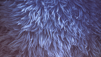 Bright color faux furry texture backdrop close up. Texture of blue fur. Hairy pattern for design. Fur fabric copy space colored background.	