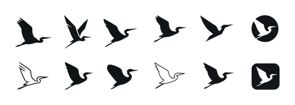 Set of stylized bird silhouettes in various flight poses