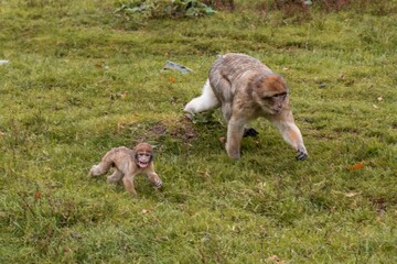 please share exact text you want rephrased, provide specific text to be rewritten in various forms