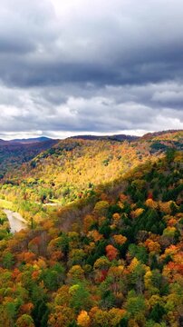 Vibrant fall foliage with river cutting through valley. Dramatic clouds above forest create moody autumn atmosphere. Aerial view. Vertical video.
