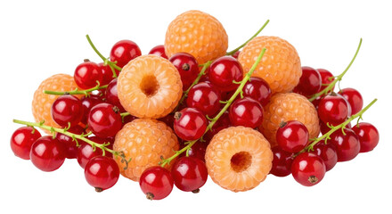 Isolated pile of ripe red currants and golden raspberries, fresh summer berries harvest